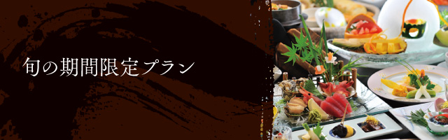 期間限定プラン